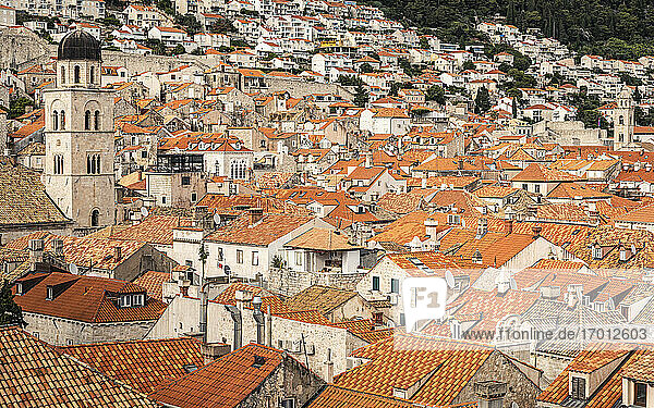 Kroatien  Dubrovnik  Altstadtgebäude mit orangefarbenen Dächern