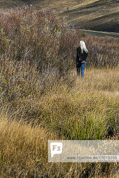 USA  Idaho  Stanley  Senior Frau mit langen weißen Haaren zu Fuß durch Bach unter Gras in nicht städtischen Landschaft