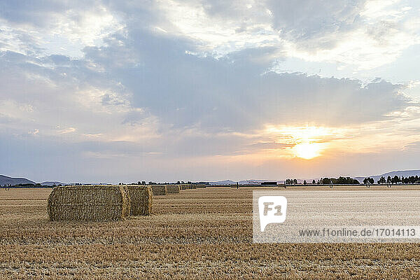 USA  Idaho  Bellevue  Bales of hay in field at sunset
