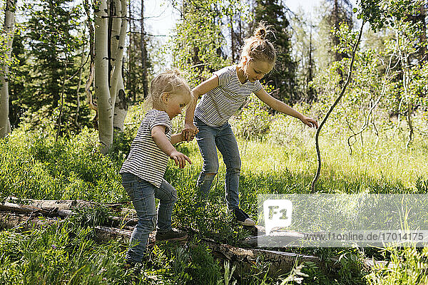 USA  Utah  Uinta National Park  Zwei Schwestern (2-3  6-7) gehen auf Baumstamm im Wald