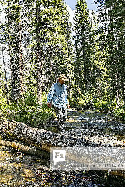 USA  Idaho  Sun Valley  Man crossing river in forest