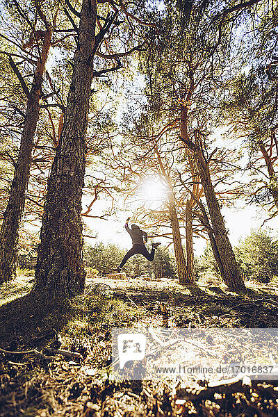 Fröhlicher junger Mann  der im Wald auf das Land springt