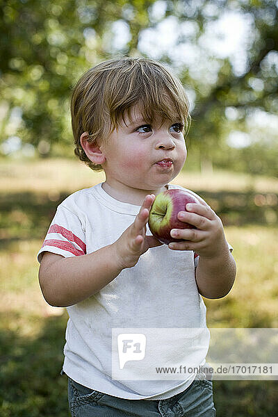 Baby boy eating apple in park