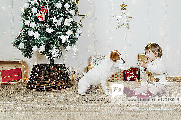 Baby-Mädchen spielt mit Welpen  während sie auf dem Teppich zu Hause während Weihnachten sitzen