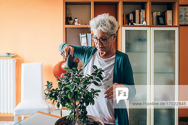 Frau pflegt Bonsaibaum