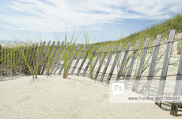 USA  Massachusetts  Nantucket Island  Sandzaun und Strandhafer