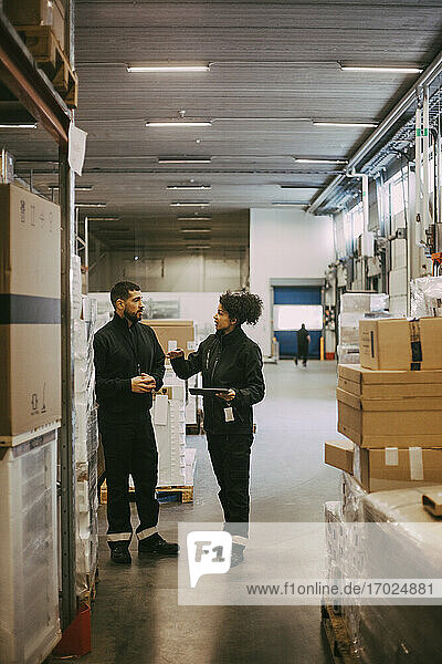 Männliche und weibliche Kollegen diskutieren im Stehen im Logistiklager