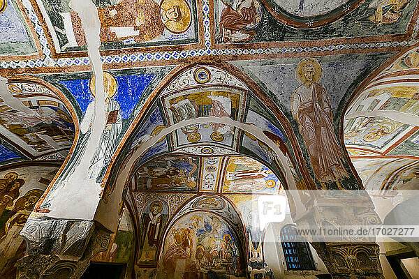 Bunte Krypta der Fresken  UNESCO-Weltkulturerbe  Aquileia  Udine  Friaul-Julisch Venetien  Italien  Europa