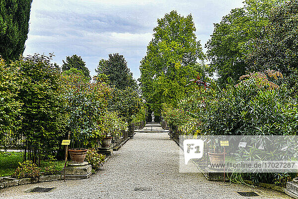 Orto Botanico di Padova  ältester botanischer Garten  UNESCO-Weltkulturerbe  Padua  Venetien  Italien  Europa