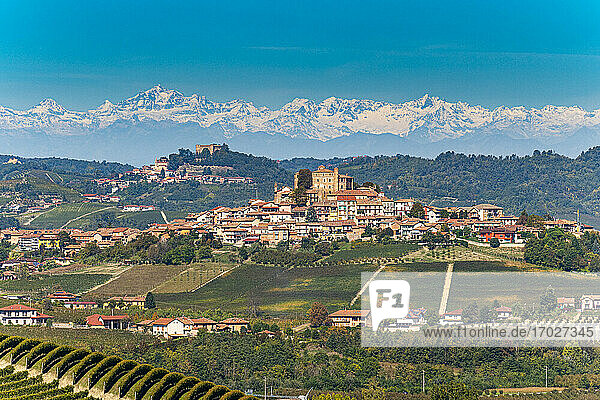 Weinberge mit den Alpen im Hintergrund  Weinregion Barolo  UNESCO-Weltkulturerbe  Piemont  Italien  Europa