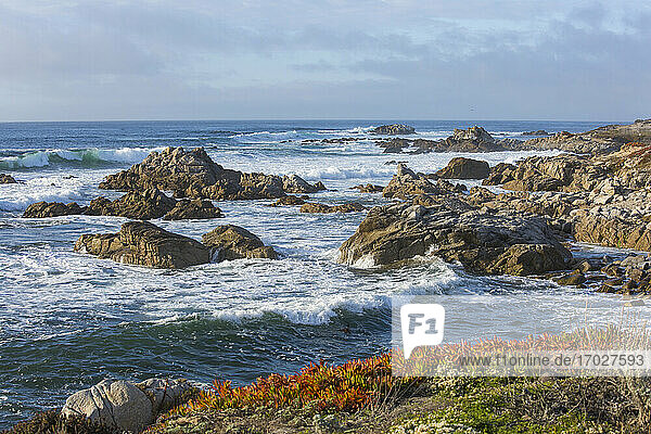 Powerful Pacific Ocean waves battering rocky coastline of the Monterey Peninsula  Pacific Grove  Monterey  California  United States of America  North America