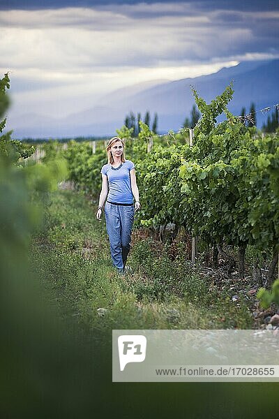 Woman in vineyards at Bodega La Azul  a winery in Uco Valley (Valle de Uco)  a wine region in Mendoza Province  Argentina