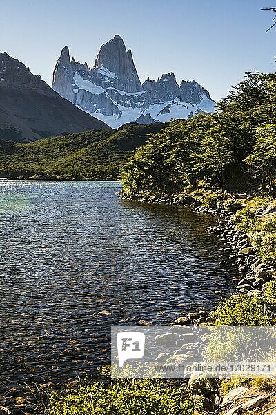 Berg Fitz Roy (auch bekannt als Cerro Chalten oder Cerro Fitz Roy)  Chalten  Patagonien  Argentinien