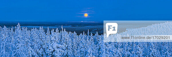 Supermondlandschaft (Vollmond)  Lappland  Pallas-Yllästunturi-Nationalpark  Finnland