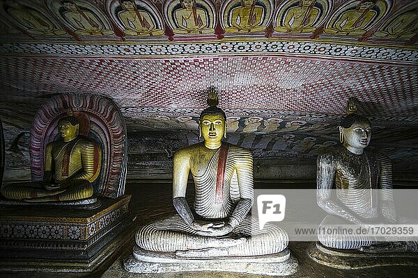 Buddha-Statuen in Höhle 2 (Höhle der großen Könige oder Tempel des großen Königs)  Dambulla-Höhlentempel  Dambulla  Zentralprovinz  Sri Lanka  Asien