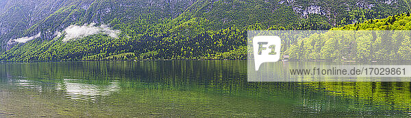 Panoramafoto der Spiegelungen des Bohinjer Sees  Nationalpark Triglav  Julische Alpen  Slowenien  Europa
