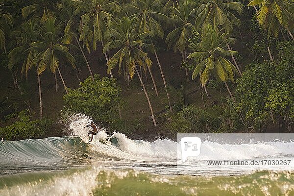 Mirissa Beach  surfer surfing at sunset  South Coast of Sri Lanka  Southern Province  Asia
