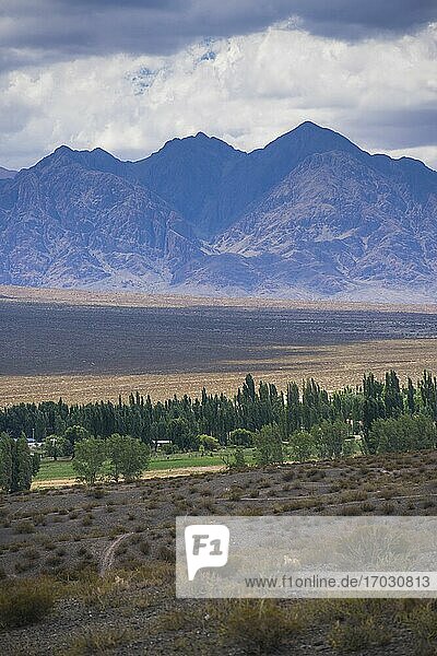Andes Mountain Range  Uspallata  Mendoza Province  Argentina