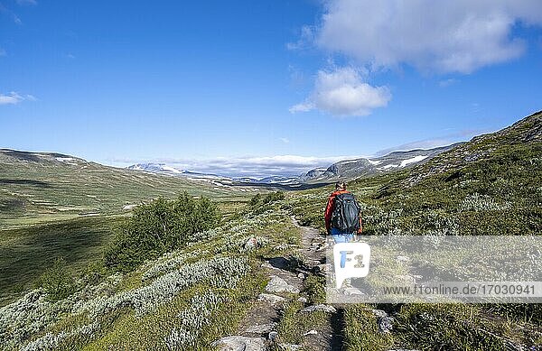 Hiker on a trail through the tundra  barren landscape  Dovrefjell National Park  Oppdal  Norway  Europe