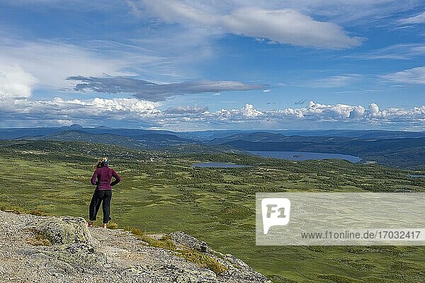 Wanderin blickt über Tundra  Tundra  Hügellandschaft mit Seen  Øystre Slidre  Jotunheimen Nationalpark  Norwege