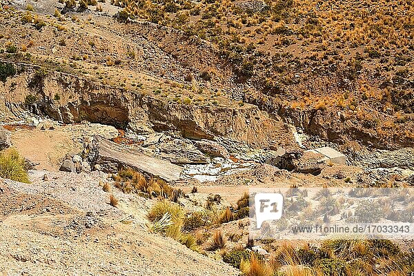Termas Jurasi (Heiße Quellen von Jurasi). Putre  Norte Grande de Chile.