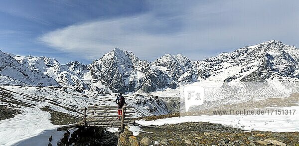 Ortler group with Königspitze  Monte Zebru and Ortler  Alps  Sulden  Vinschgau  South Tyrol  Italy  Europe