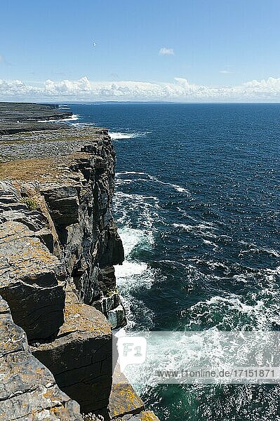 Steilküste am Atlantik  Dún Aonghasa oder Dun Aengus  Árainn Mhór oder Inis Mór oder Inishmor  Aran-Inseln  Aran Islands  County Galway  Irland  Europa