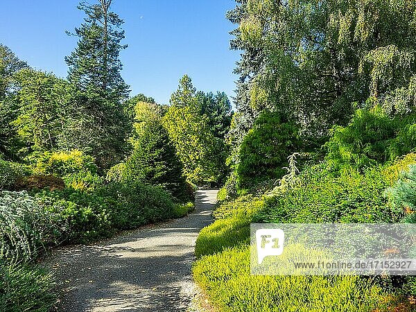 Kubota Garden ist ein 81.000 m? großer japanischer Garten im Stadtteil Rainier Beach von Seattle  Washington. Zu den Hauptmerkmalen des Kubota-Gartens gehören die Kubota-Terrasse  der Bambushain  die Teichkette  der Berghang und der Tom Kubota-Spaziergarten.