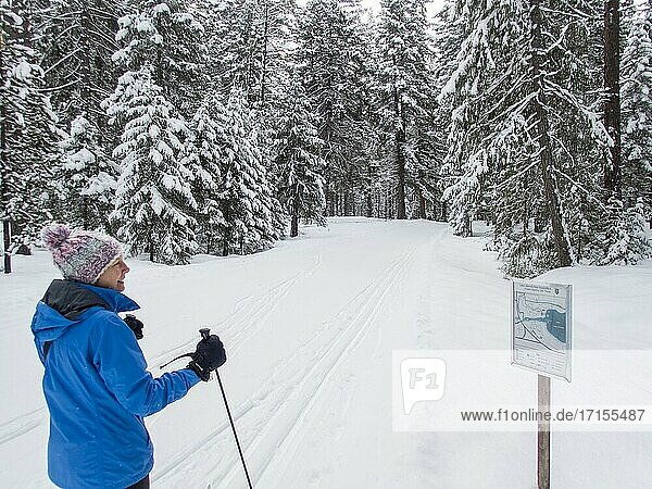 Eine Winterszene mit einem Skilangläufer (Modell freigegeben)  der sich eine Loipenkarte im Lake Wenatchee State Park im östlichen Bundesstaat Washington  USA  ansieht.