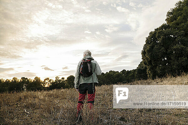 Senior male hiker in warm clothing standing at agricultural field during sunset