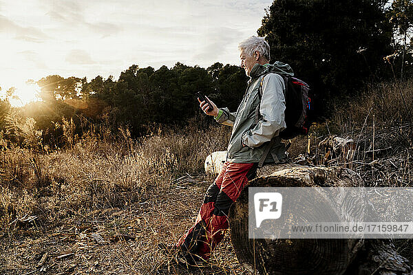 Älterer Mann benutzt sein Smartphone  während er sich bei Sonnenuntergang an einen Holzstamm lehnt