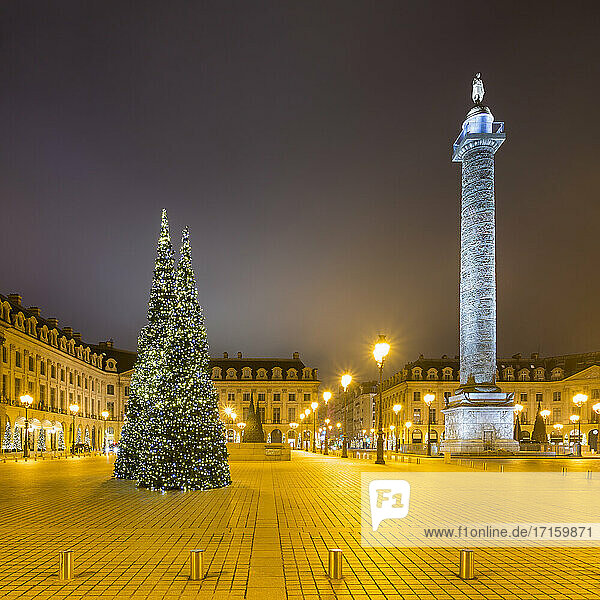 France  Ile-de-France  Paris  Christmas trees at illuminated Place Vendome during night