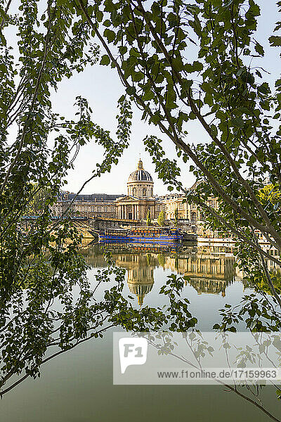 France  Ile-de-France  Paris  Institut de France reflecting in river Seine with branches in foreground