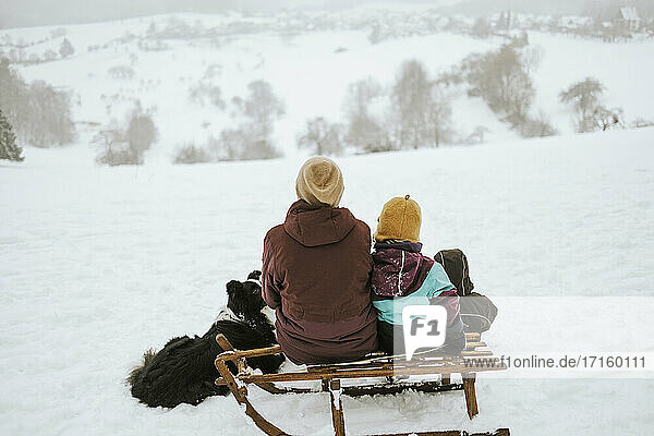 Mutter und Kinder mit Border Collie sitzen auf einem verschneiten Feld vor einem Berg
