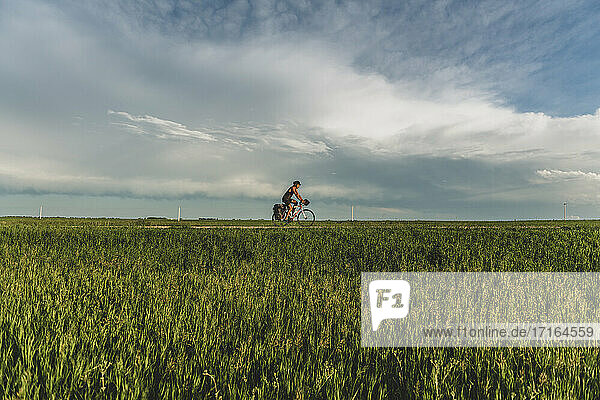 Man cycling through field  Ontario  Canada