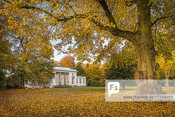 Deutschland  Hamburg  Blankenese  Godeffroy Haus im Herbst Hirschpark