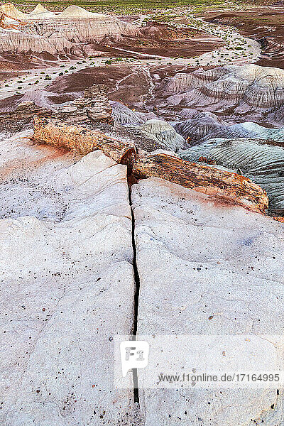 Barren rocky landscape at Petrified Forest National Park  Arizona  USA