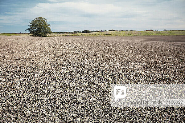 Freshly plowed field against sky