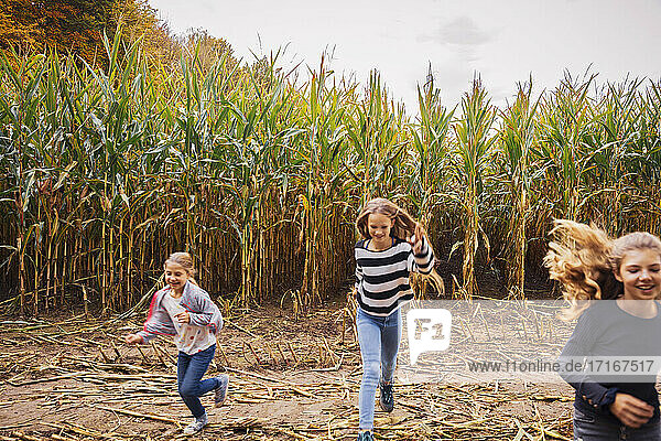 Girls playing while running in corn field