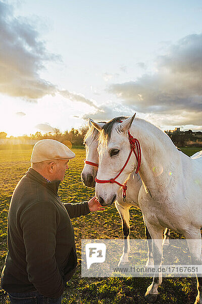 Mature animal trainer consoling horse while standing in ranch during sunset