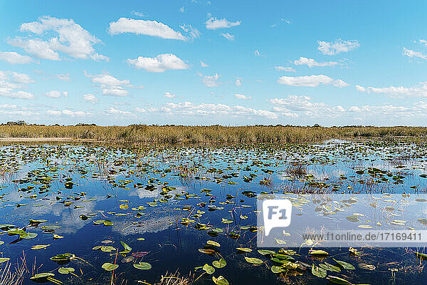 Wetland against sky at Everglades National Park