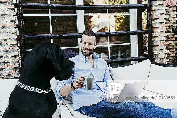 Young man working on laptop while sitting on terrace with Great Dane dog