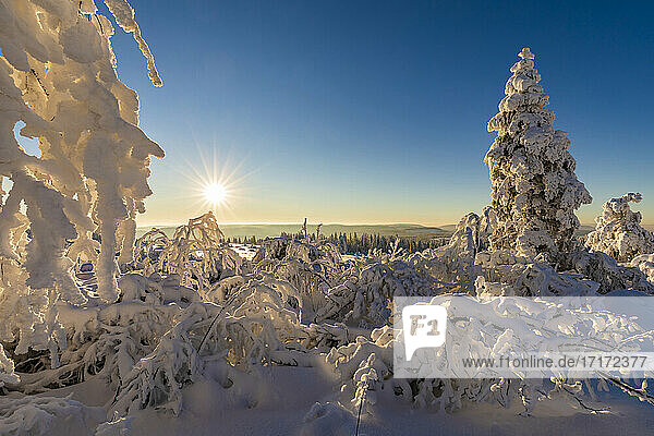 Germany  Baden Wurttemberg  Black Forest at sunrise in winter