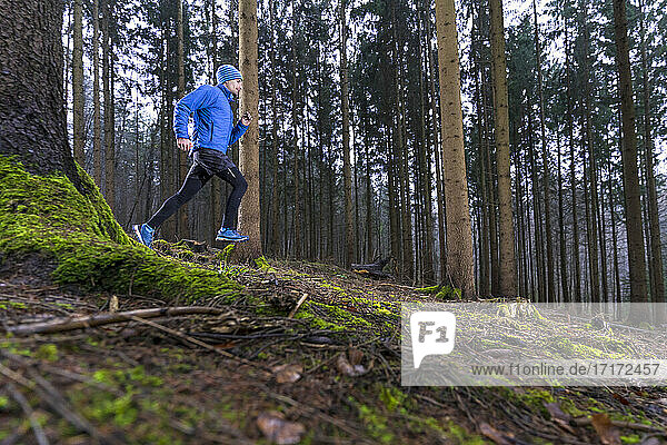 Male jogger running in coniferous forest during winter