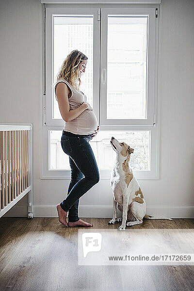 Pregnant woman standing with dog by window at home