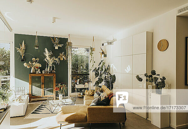 Modern living room with potted plants and flowers