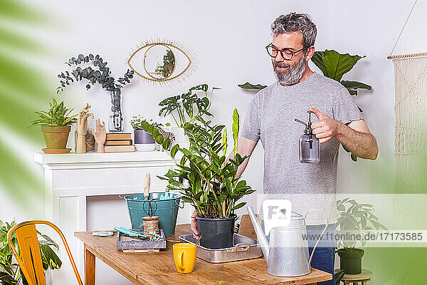 Mann  der zu Hause stehend Wasser auf eine Zamioculcas Zamiifolia-Topfpflanze sprüht