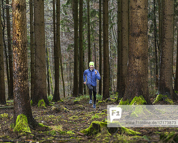 Junger Mann in blauer Jacke joggt im Wald