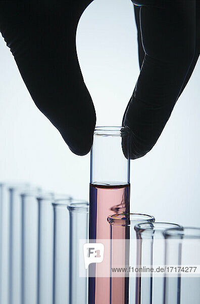 Hand mit Nitrilhandschuhen  die ein Reagenzglas mit roter Lösung aus mehreren leeren Reagenzgläsern aufnimmt