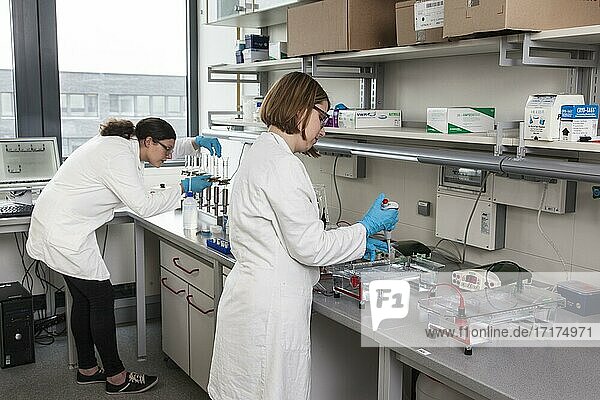 Wissenschaftlerinnen im Giftraum bzw. Labor mit Ethidiumbromid während einer DNA-Gel-Elektrophorese zum Nachweis von Nukleinsäuren in der Fakultät Biologie an der Universität Duisburg-Essen